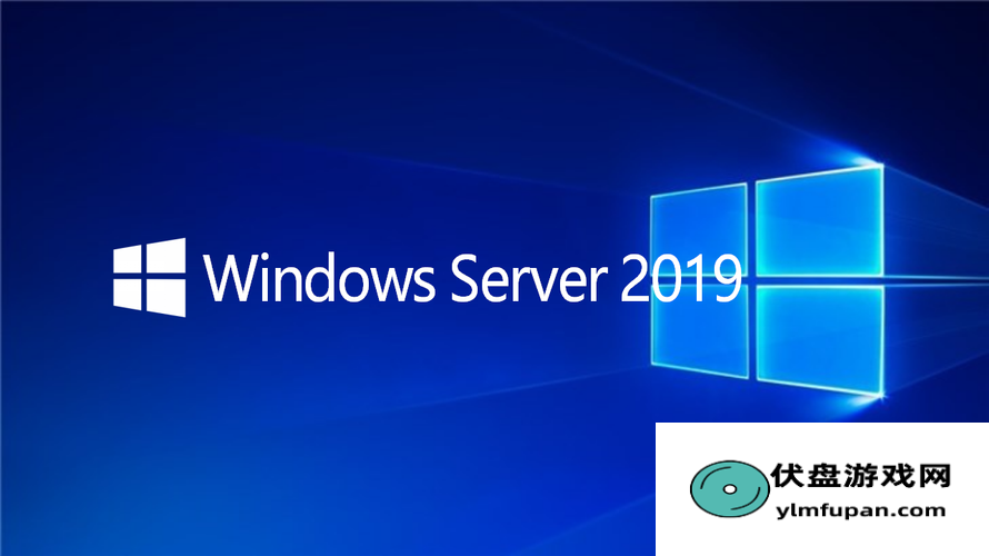 深入探讨日本Windows-Server：网友讨论与分析